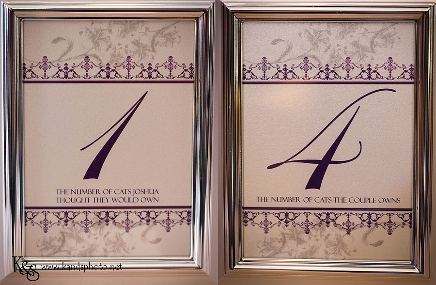 Stonebriar_country_club_wedding054c